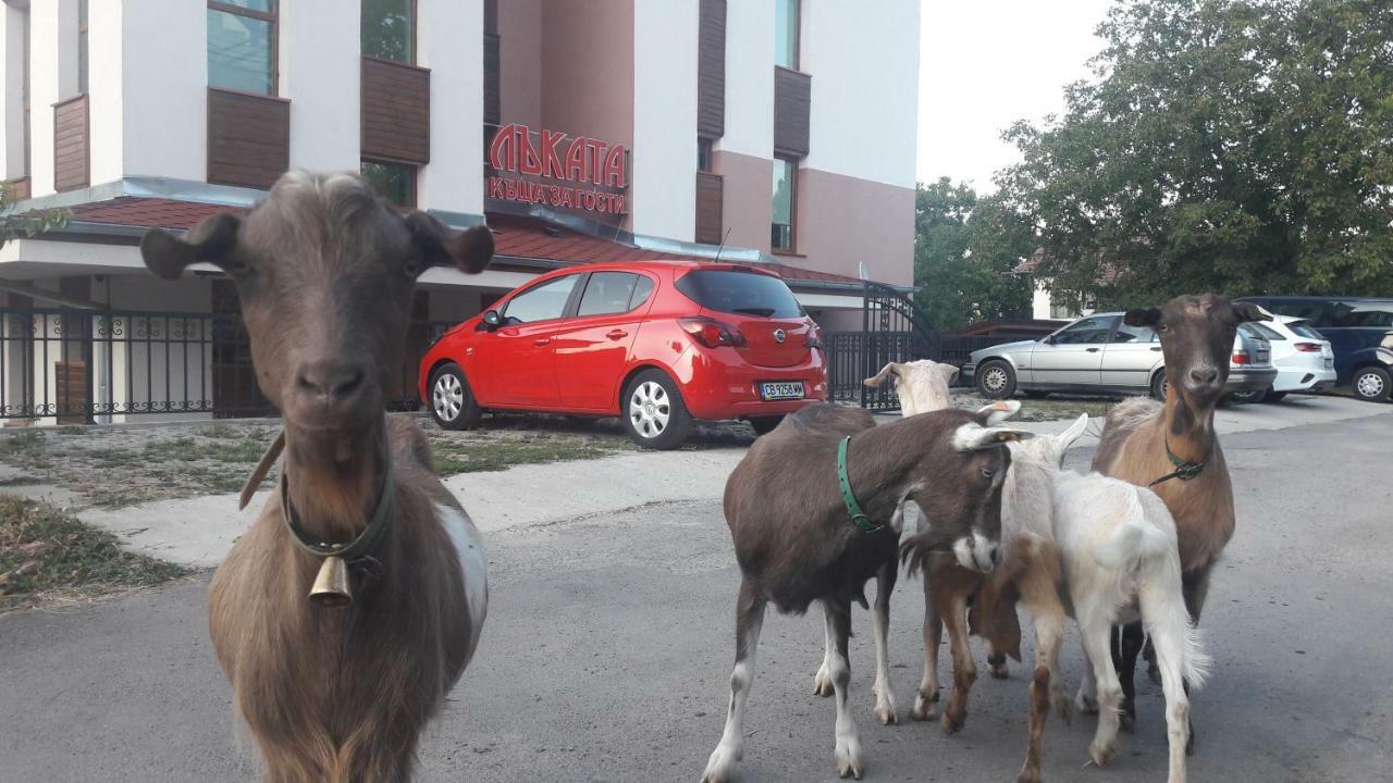 Lakata Guest House Zasele المظهر الخارجي الصورة